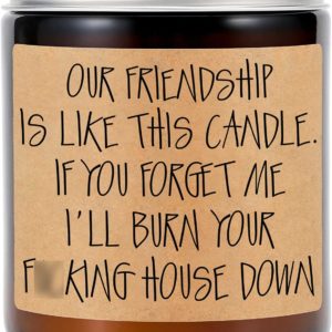 Our Friendship Is Like This Candle - If You Forget Me I'll Burn Your Fucking House Down